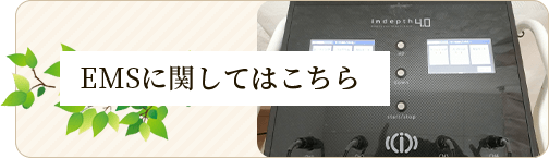 EMSに関してはこちら